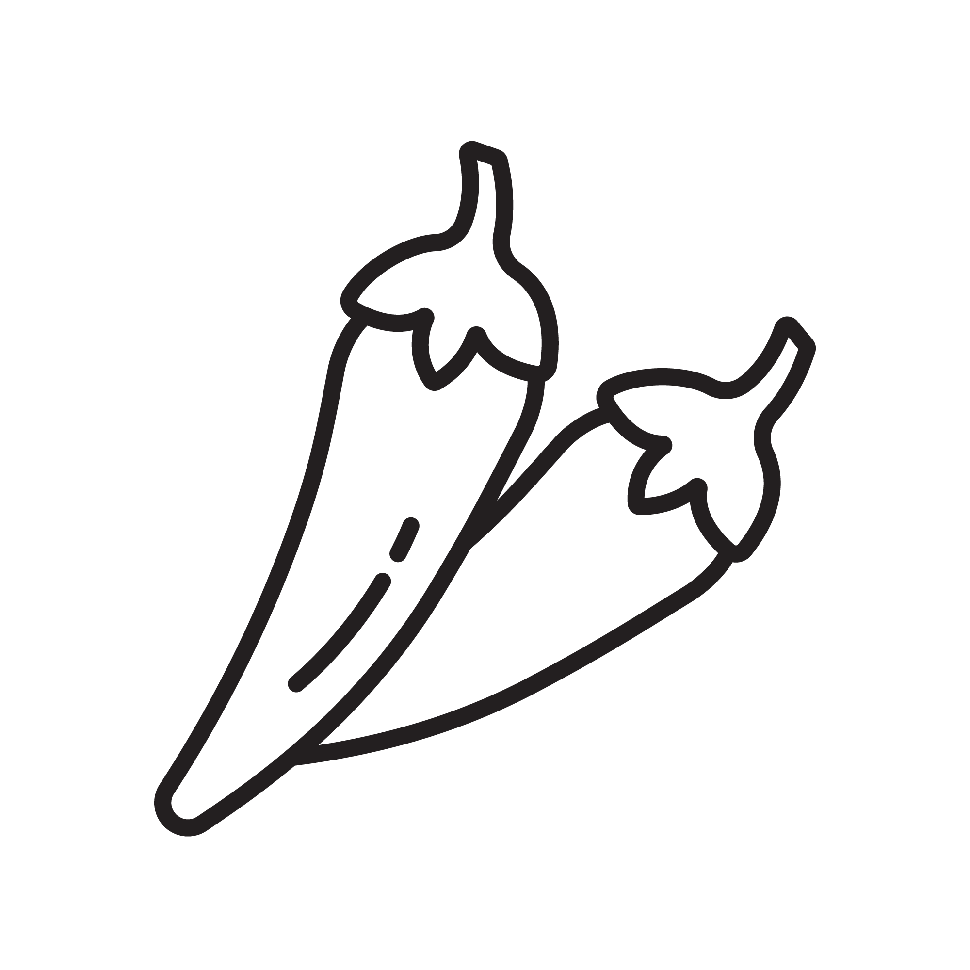 Pikantne